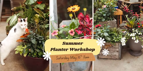 Summer Planter Workshop