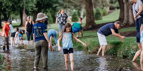 Stauffer Run Creek Stomp