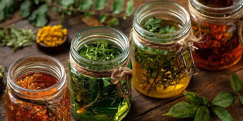 Mind & Focus: Herbal Support for Study & Work