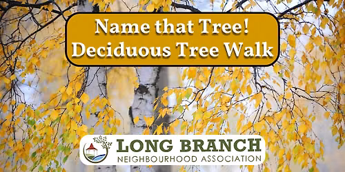 Deciduous Trees Walking Tour