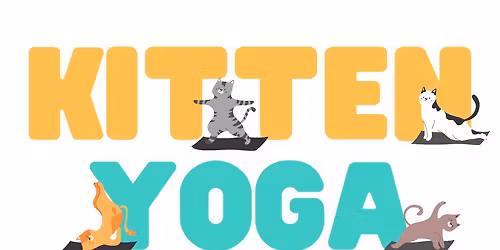 Kitten Yoga