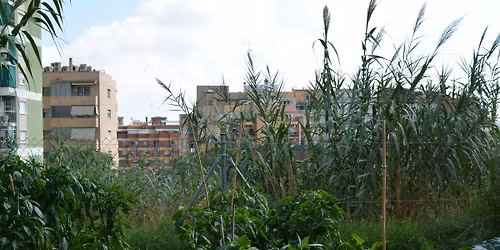 Barcelone \u2013 Paris : vers une transition \u00e9cologique d\u00e9mocratique