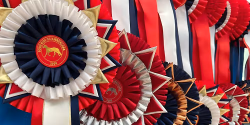 L\/D stevne i dressur, inkl klubbmesterskap