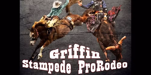 Franklin Stampede Pro Rodeo