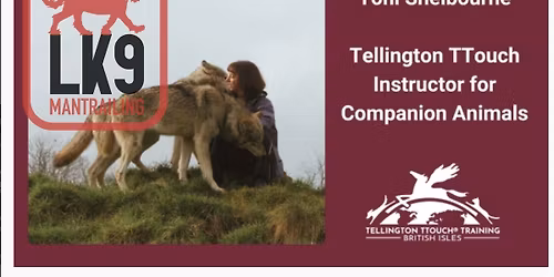 TTouch workshop with Toni Shelbourne