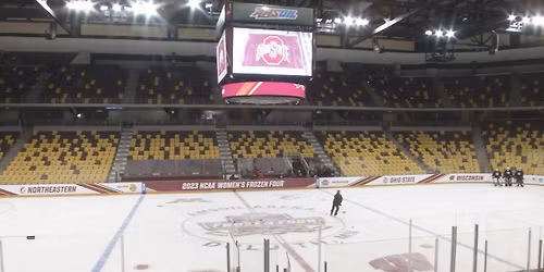 Minnesota Duluth Bulldogs Women's Hockey vs. Wisconsin Badgers