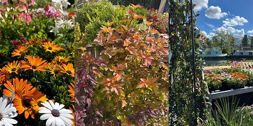 Earth Week Workshops at The Loop:  Gardening