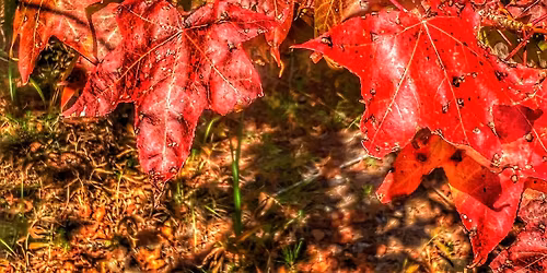 Autumn's Wonder Hike 