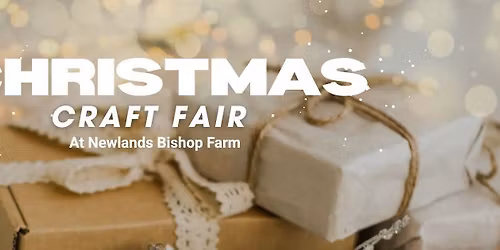 Chrsitmas sales day