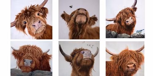 Needle felt a Highland Cow with K Price Art