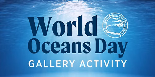World Oceans Day: Gallery Activity