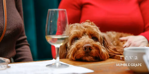 Paws & Pours: Wine Tasting Social For Dog Lovers