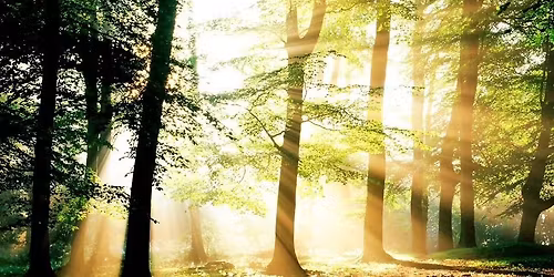 F\u00f6rkl\u00e4dd Gud