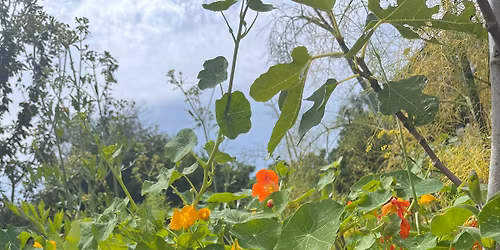 Spring Celebration Day!