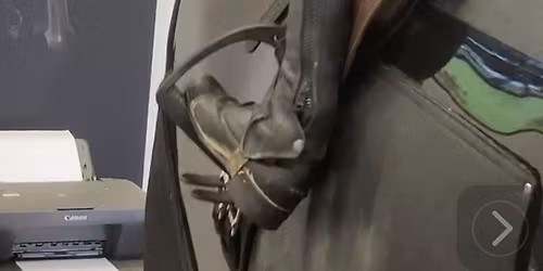 Biomechanics Simulator Training~ Dressage or Jumping