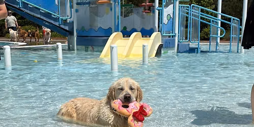 Paws in the Pool - 9\/27\/2026