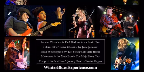Cincinnati Winter Blues Experience VII