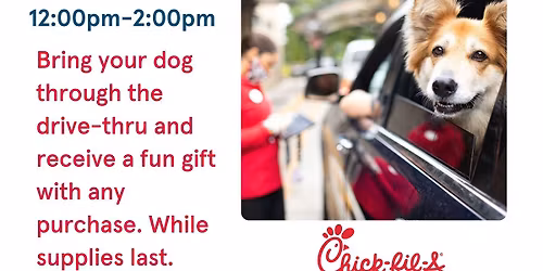 Dogs in the Drive-Thru