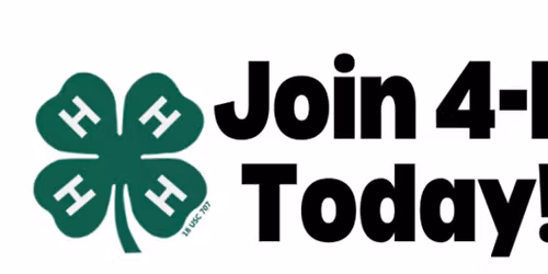 4-H Achievement Night