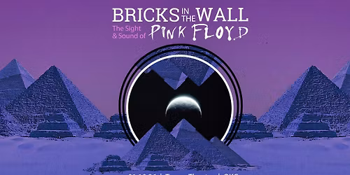 Bricks In The Wall (Pink Floyd Tribute)