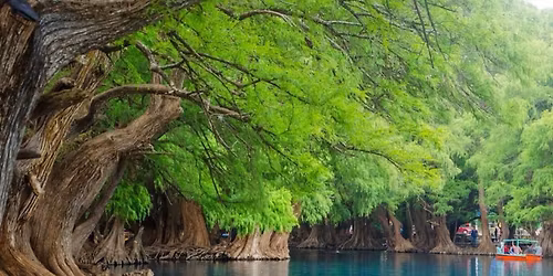 LAGO DE CAMECUARO Y ZAMORA