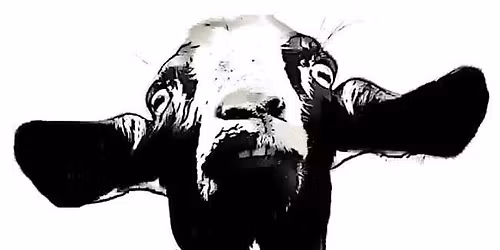 Jammin' at the Elk's Lodge this Sunday!!!