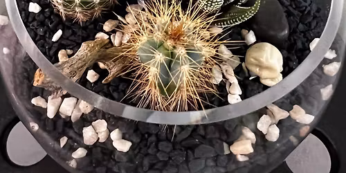 [Oct 31th] Spooky Terrarium Workshop