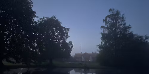 International bat night