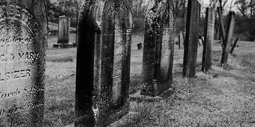 Online Reading Course \u2013 The Gothic \u2013 Carmilla by Sheridan Le Fanu