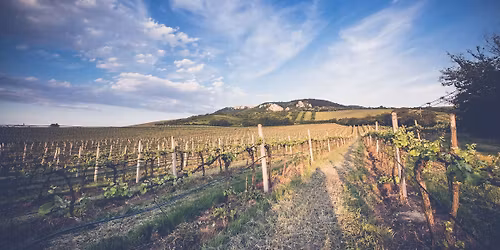 JARN\u00cd otev\u0159en\u00e9 sklepy