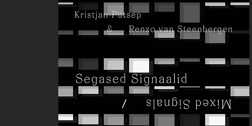 Segased signaalid - Art Installation by Renzo van Steenbergen and Kristjan P\u00fctsep