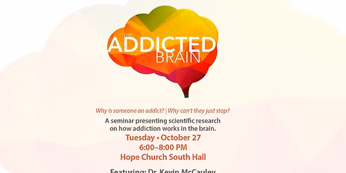 The Addicted Brain