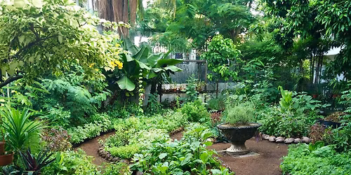 Urban Permaculture: Making the Most of Your Small Space with Elise Pickett