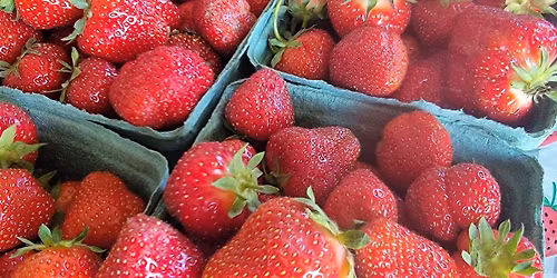 Strawberry Fest at the Market