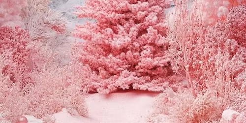 Christmas Pamper Day - Mummy&DaughterDay