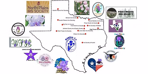 Arilbreds Characteristics and How they Grow