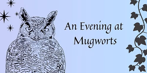 An Evening at Mugworts - Mambourg Park