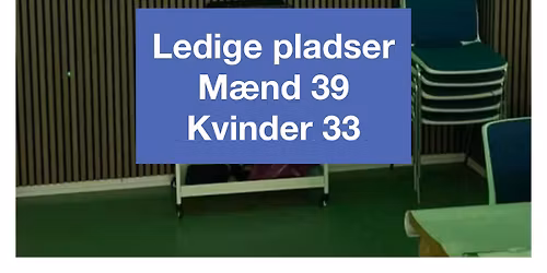 80 fest fra start til slut - mad, dans mm