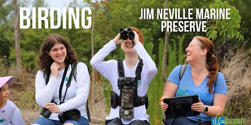 Birding at Jim Neville Marine Preserve