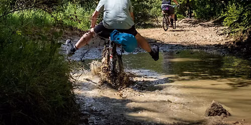 The SURLY100