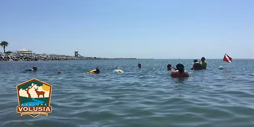 Snorkeling Adventure