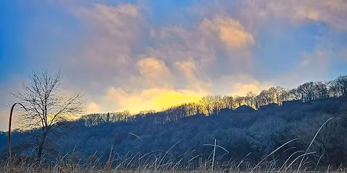 Sunday Service ~ Presence, Pleasure and Joy as Acts of Resistance