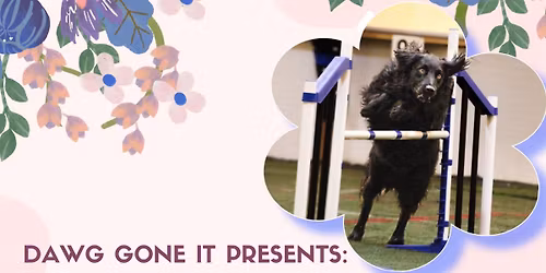 DGI\u2019s May CPE Agility Trial