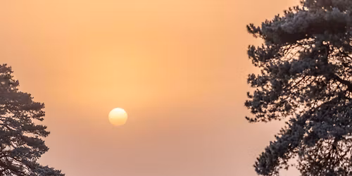 Winter Solstice Guided Walk at RSPB Arne Nature Reserve in Dorset
