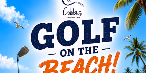 Golf on the Beach