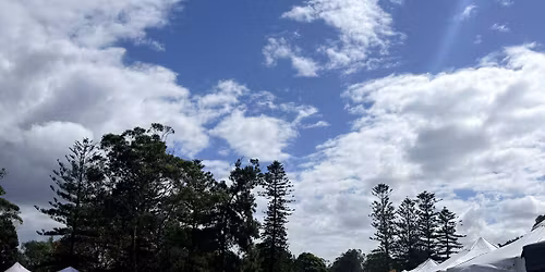 Speers Point Park - Homegrown Markets - May Market Day \ud83d\udecd\ufe0f\u2615\ufe0f\u2728