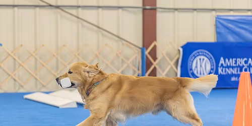 CDTS Obedience Run-Throughs