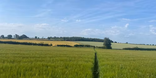 November Sunday Walk - Whixley - 5 miles\/8km