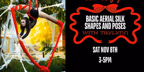 Basic Aerial Silk Shapes and Poses