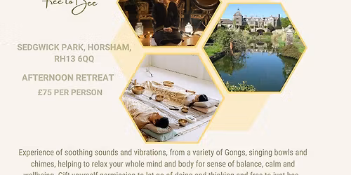 November Gong Sound Healing Experience With Tammy Freeman